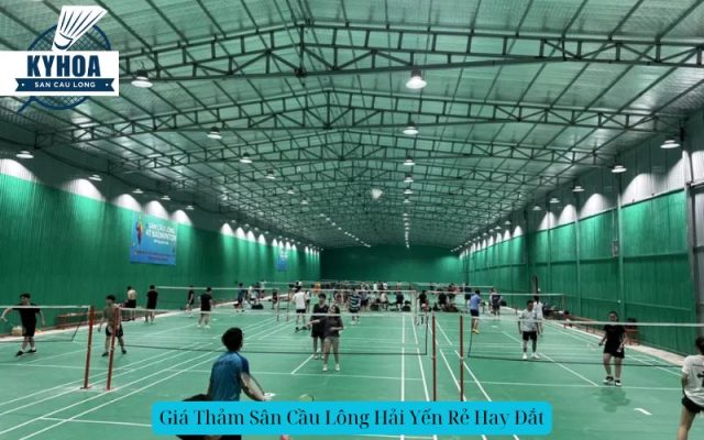 Giá Thảm Sân Cầu Lông Hải Yến Rẻ Hay Đắt