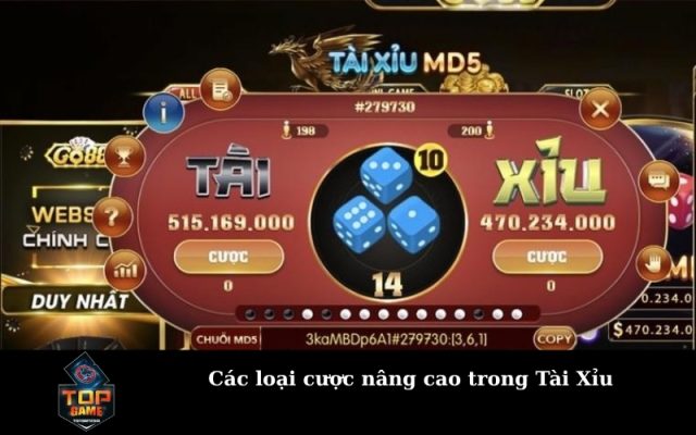 Các loại cược nâng cao trong Tài Xỉu