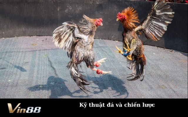 Kỹ thuật đá và chiến lược
