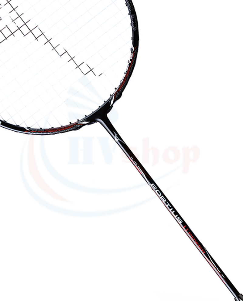 Mizuno-fortius-11-power-5